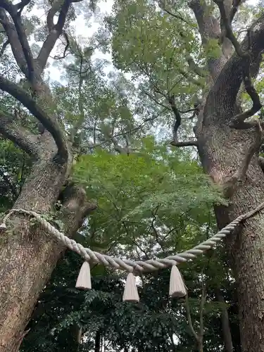 大津日吉神社(熊本県)