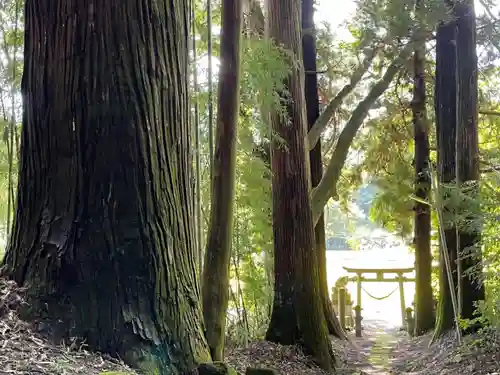 熊野神社の鳥居