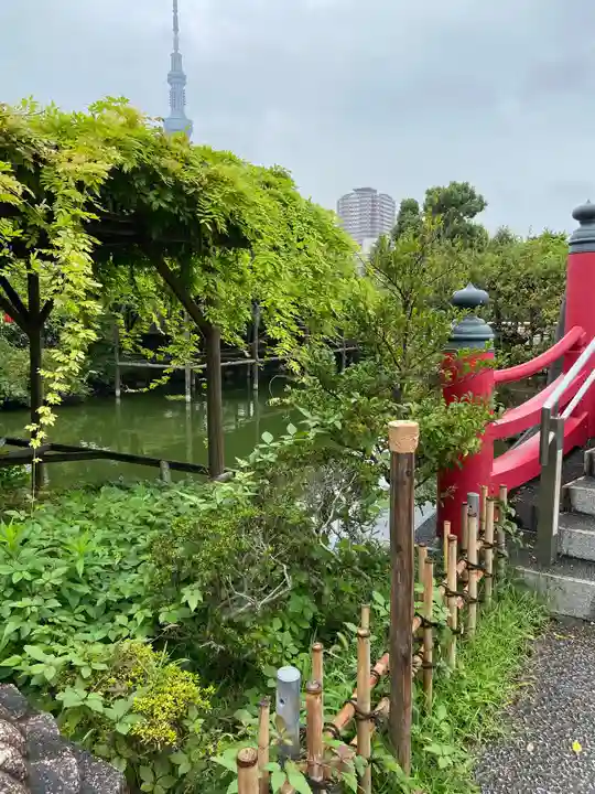 亀戸天神社の庭園
