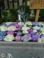 金剛院の手水舎