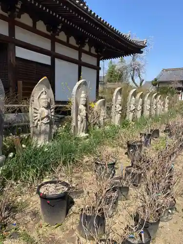 般若寺 ❁﻿コスモス寺❁(奈良県)