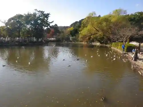 鶴岡八幡宮の庭園