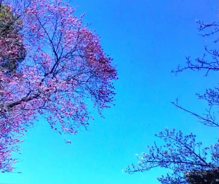 田端神社(東京都)