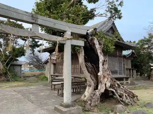 中里八坂神社の鳥居