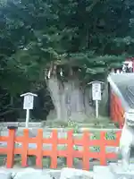鶴岡八幡宮の自然