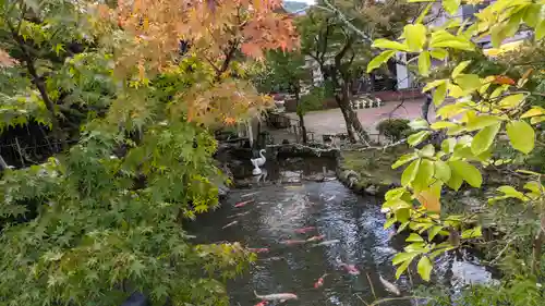 禅林寺（永観堂）(京都府)