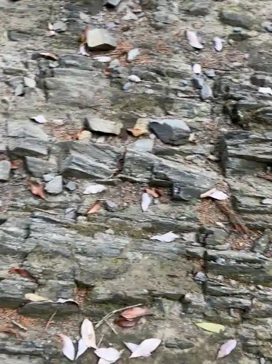 飯綱神社(愛宕神社奥社)(茨城県)