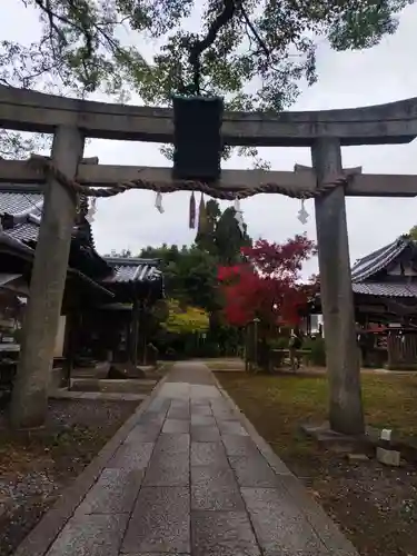 新熊野神社の鳥居