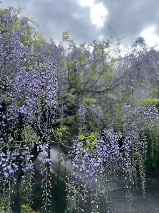 子安地蔵寺の{uncategorized: "未分類", other: "その他", undefined: "問題あり", building: "その他建物", grave: "お墓", sacred_gate: "鳥居", guardian: "狛犬", statue: "像", buddha: "仏像", history: "歴史", nature: "自然", garden: "庭園", animal: "動物", pagoda: "塔", temizu: "手水舎", mountain_gate: "山門・神門", sanctuary: "本殿・本堂", subordinate: "末社・摂社", art: "芸術", scenery: "景色", jizo: "地蔵", ema: "絵馬", goshuin: "御朱印", omikuji: "おみくじ", items: "授与品その他", amulet: "お守り", goshuincho: "御朱印帳", eats: "食事", festival: "お祭り", votive_dance: "神楽", shichigosan: "七五三参", wedding: "結婚式", experience: "体験その他", initially: "初詣", around: "周辺", anti_infection: "感染症対策"}
