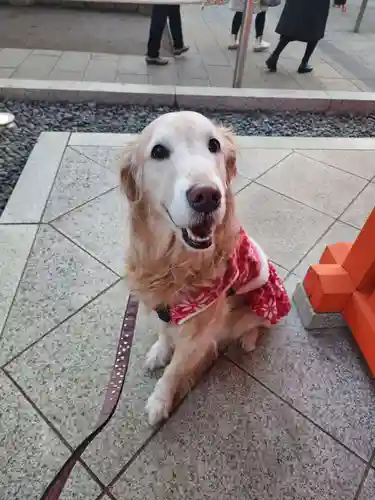 穴八幡宮(東京都)