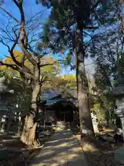 天形星神社の本殿