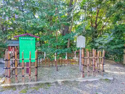 津島神社の自然