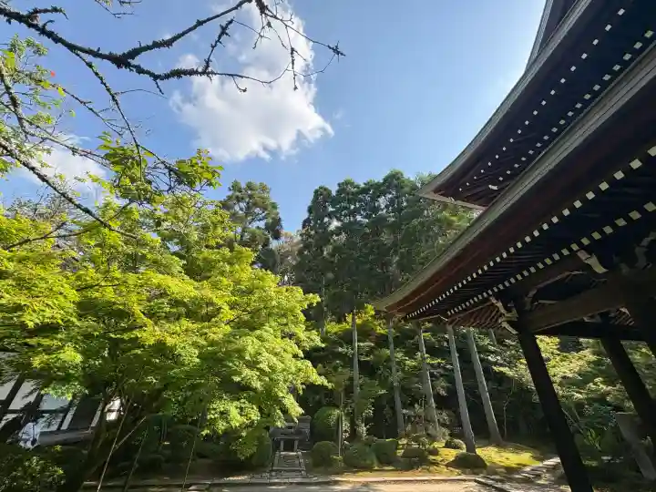 酬恩庵一休寺の{uncategorized: "未分類", other: "その他", undefined: "問題あり", building: "その他建物", grave: "お墓", sacred_gate: "鳥居", guardian: "狛犬", statue: "像", buddha: "仏像", history: "歴史", nature: "自然", garden: "庭園", animal: "動物", pagoda: "塔", temizu: "手水舎", mountain_gate: "山門・神門", sanctuary: "本殿・本堂", subordinate: "末社・摂社", art: "芸術", scenery: "景色", jizo: "地蔵", ema: "絵馬", goshuin: "御朱印", omikuji: "おみくじ", items: "授与品その他", amulet: "お守り", goshuincho: "御朱印帳", eats: "食事", festival: "お祭り", votive_dance: "神楽", shichigosan: "七五三参", wedding: "結婚式", experience: "体験その他", initially: "初詣", around: "周辺", anti_infection: "感染症対策"}
