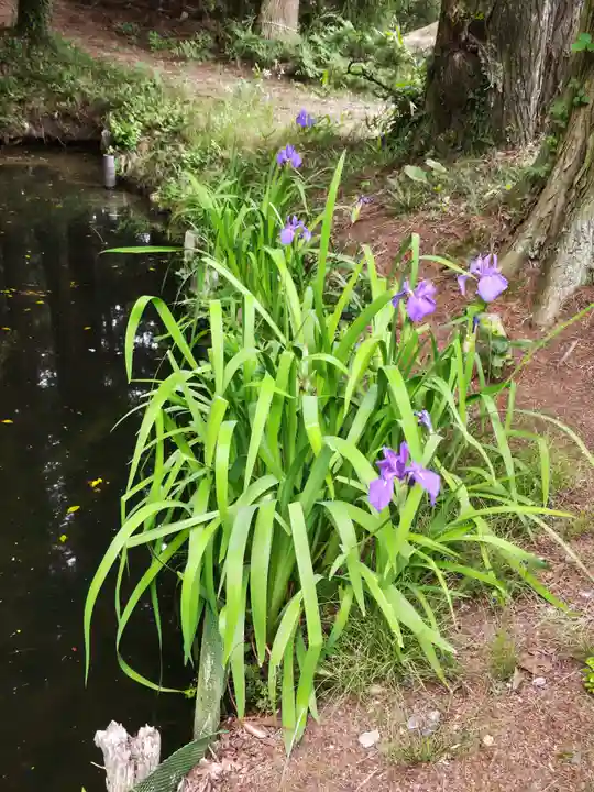 鹿島大神宮(福島県)
