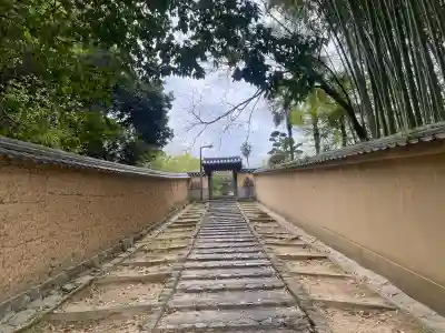 東大寺戒壇院千手堂の{uncategorized: "未分類", other: "その他", undefined: "問題あり", building: "その他建物", grave: "お墓", sacred_gate: "鳥居", guardian: "狛犬", statue: "像", buddha: "仏像", history: "歴史", nature: "自然", garden: "庭園", animal: "動物", pagoda: "塔", temizu: "手水舎", mountain_gate: "山門・神門", sanctuary: "本殿・本堂", subordinate: "末社・摂社", art: "芸術", scenery: "景色", jizo: "地蔵", ema: "絵馬", goshuin: "御朱印", omikuji: "おみくじ", items: "授与品その他", amulet: "お守り", goshuincho: "御朱印帳", eats: "食事", festival: "お祭り", votive_dance: "神楽", shichigosan: "七五三参", wedding: "結婚式", experience: "体験その他", initially: "初詣", around: "周辺", anti_infection: "感染症対策"}
