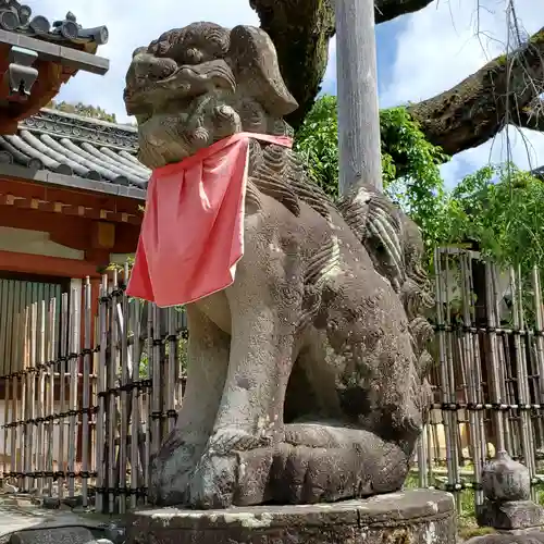 氷室神社の狛犬