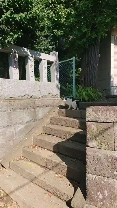 大曽根八幡神社(埼玉県)
