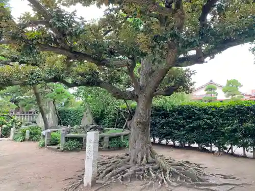 薭田神社の自然