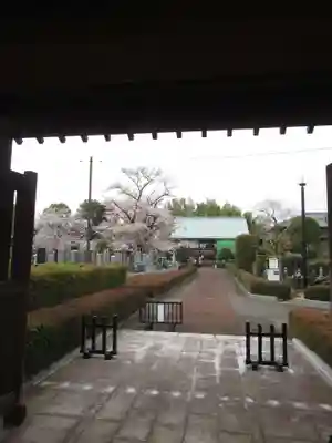 真光寺(千葉県)