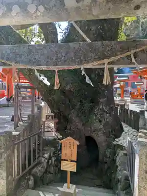 熊野那智大社(和歌山県)