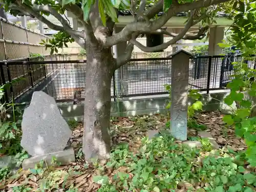 相模國分寺(神奈川県)