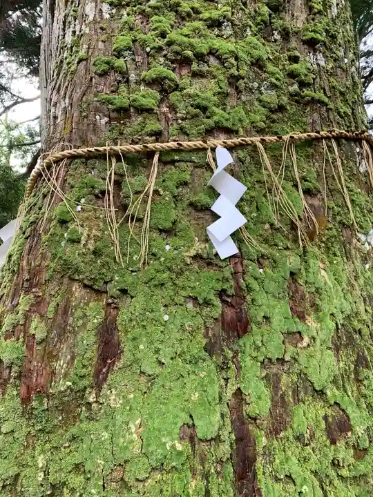 金櫻神社の自然