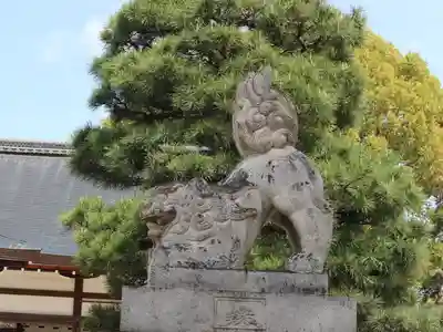 藤森神社の狛犬