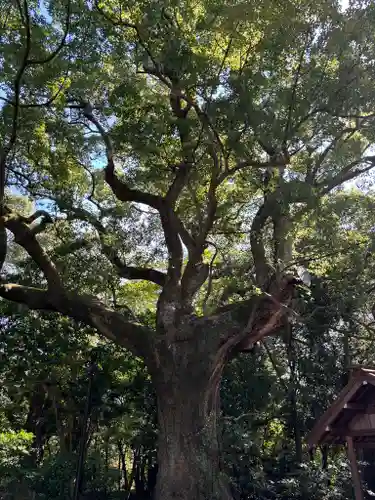 月夜見宮（豊受大神宮別宮）の自然