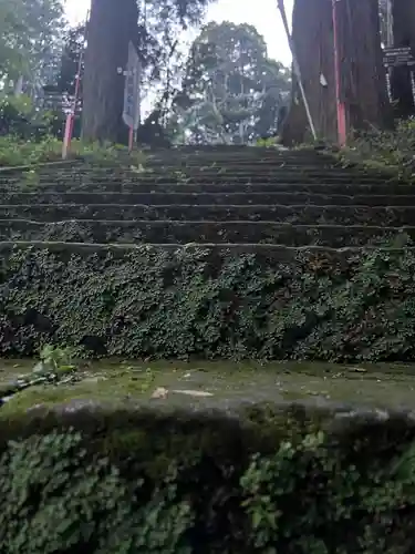 大宮温泉神社の建物その他