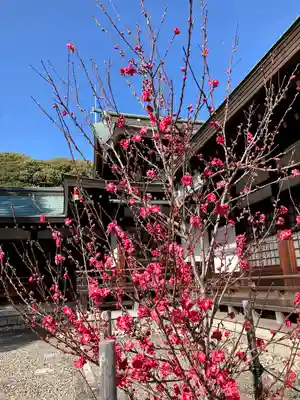 真清田神社のその他建物