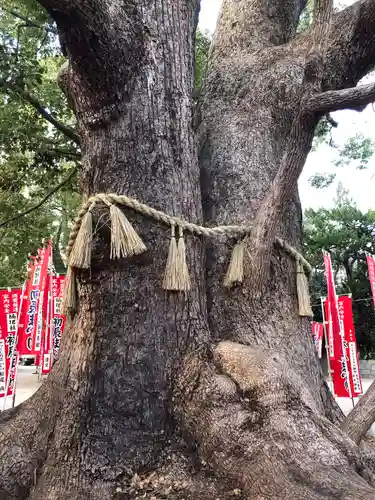 住吉大社の自然