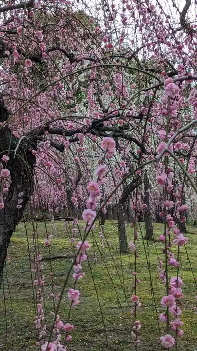 城南宮(京都府)