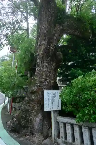 湯前神社(静岡県)