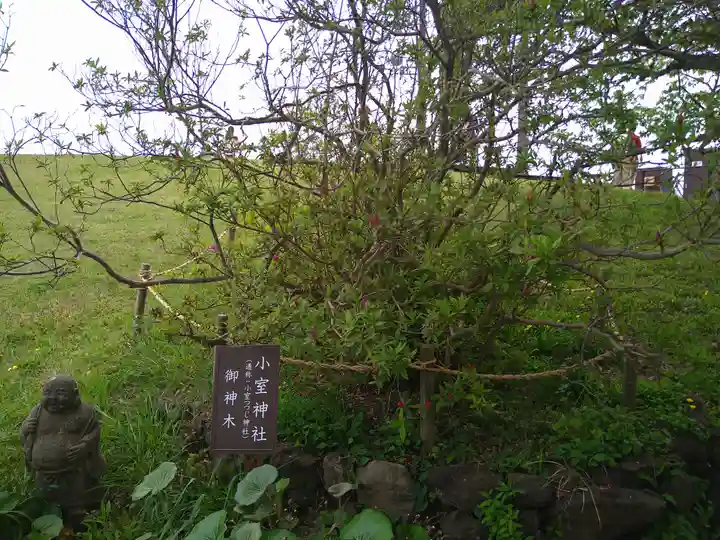 小室神社(静岡県)