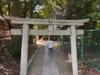 和泉國一之宮 大鳥大社の鳥居