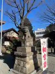 日野八坂神社の狛犬