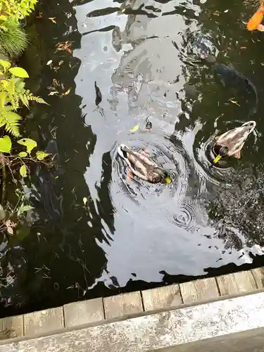 善知鳥神社の庭園