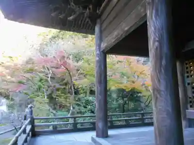 妙本寺のその他建物
