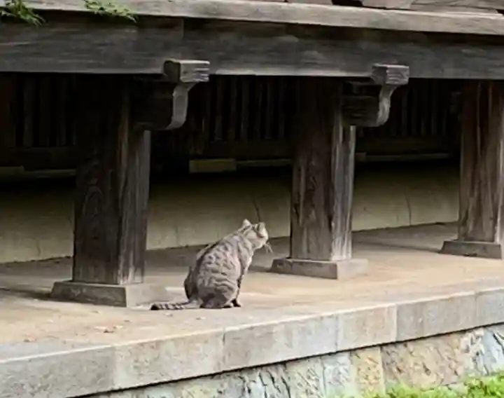 淨眞寺(東京都)