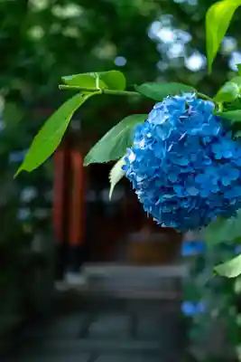 平野神社(京都府)