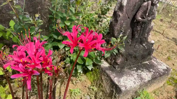 當麻寺 奥院の自然