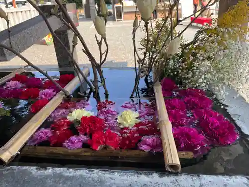 草加神社の手水