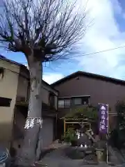 繁昌神社の自然