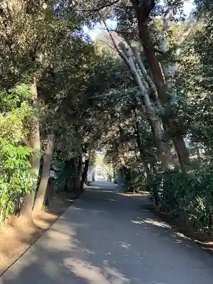岩槻久伊豆神社(埼玉県)