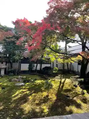 仁和寺(京都府)