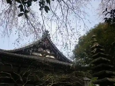 安國論寺（安国論寺）の本殿・本堂