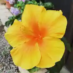 豊景神社の自然