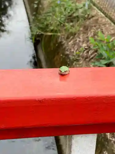 石母田　三吉神社の動物