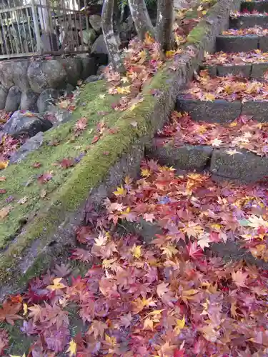 華厳寺の建物その他