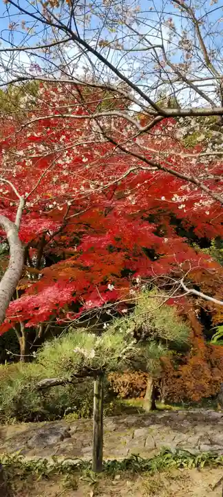 熱田神宮(愛知県)